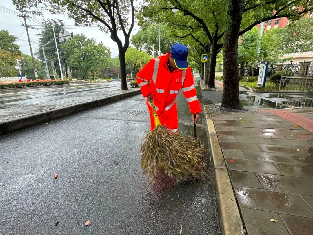 台风树木做台风防护_绿化防台风措施_